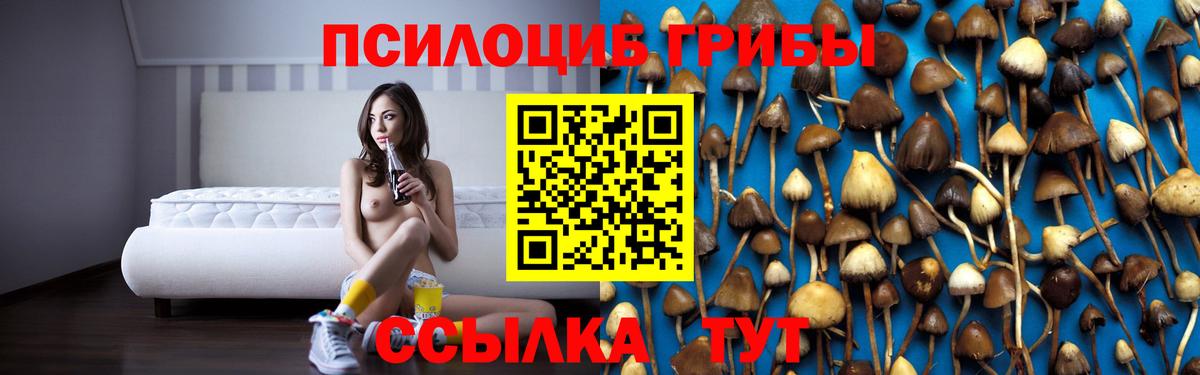 Галлюциногенные грибы Psilocybine cubensis Сосновоборск